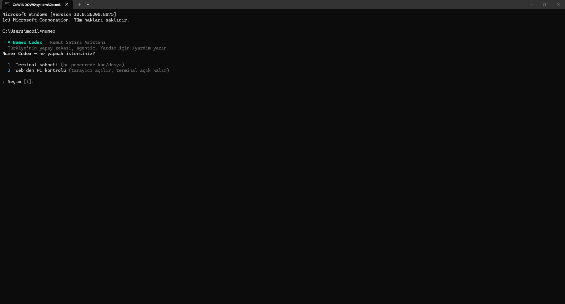 Numex CLI ana menüsü — terminal sohbeti veya web'den PC kontrolü seçimi