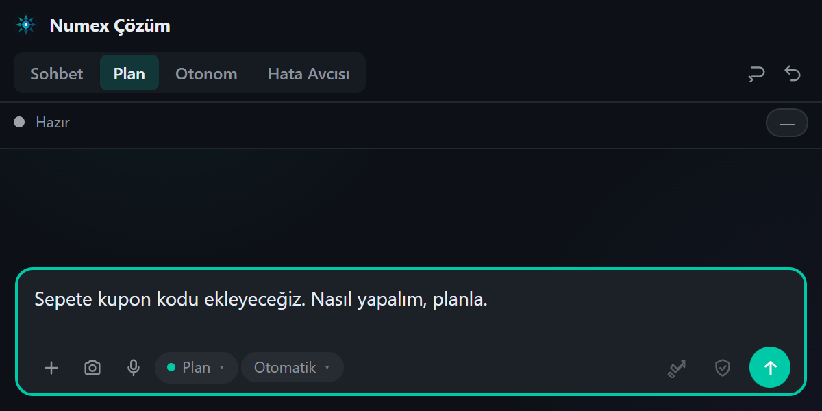 Numex Codex sohbet panelinde Plan sekmesi seçili; yazma alanında bir plan isteği ve altta Plan göstergesi